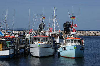 Fischerboote im Seehafen &raquo;Marina Glowe&laquo;